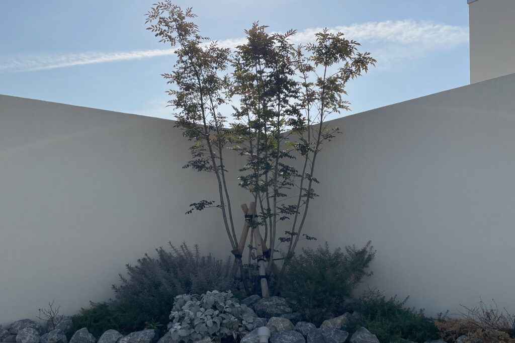 LIXILディティール賞受賞　グランドアートウォールと植栽による美麗な仕上がりの外構 イメージ18
